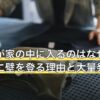 ヤスデが家の中に入るのはなぜ？雨上がりに壁を登る理由と大量発生の対策