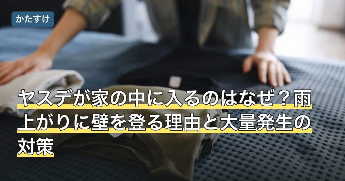 ヤスデが家の中に入るのはなぜ？雨上がりに壁を登る理由と大量発生の対策