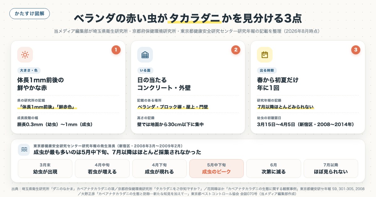 ベランダの赤い虫がタカラダニかを見分ける3点の図解