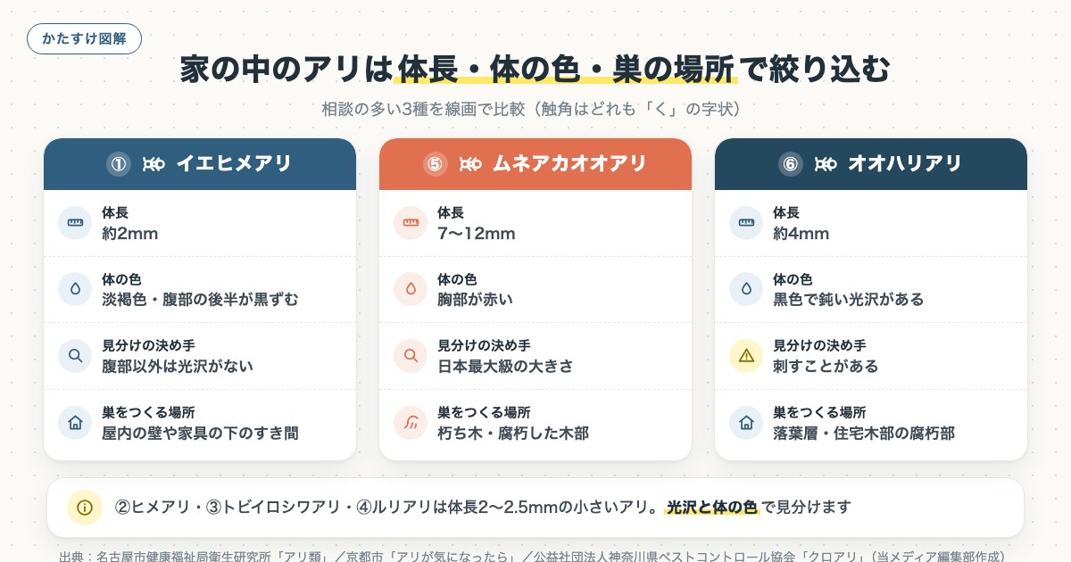家の中のアリは体長・体の色・巣の場所で絞り込むの図解