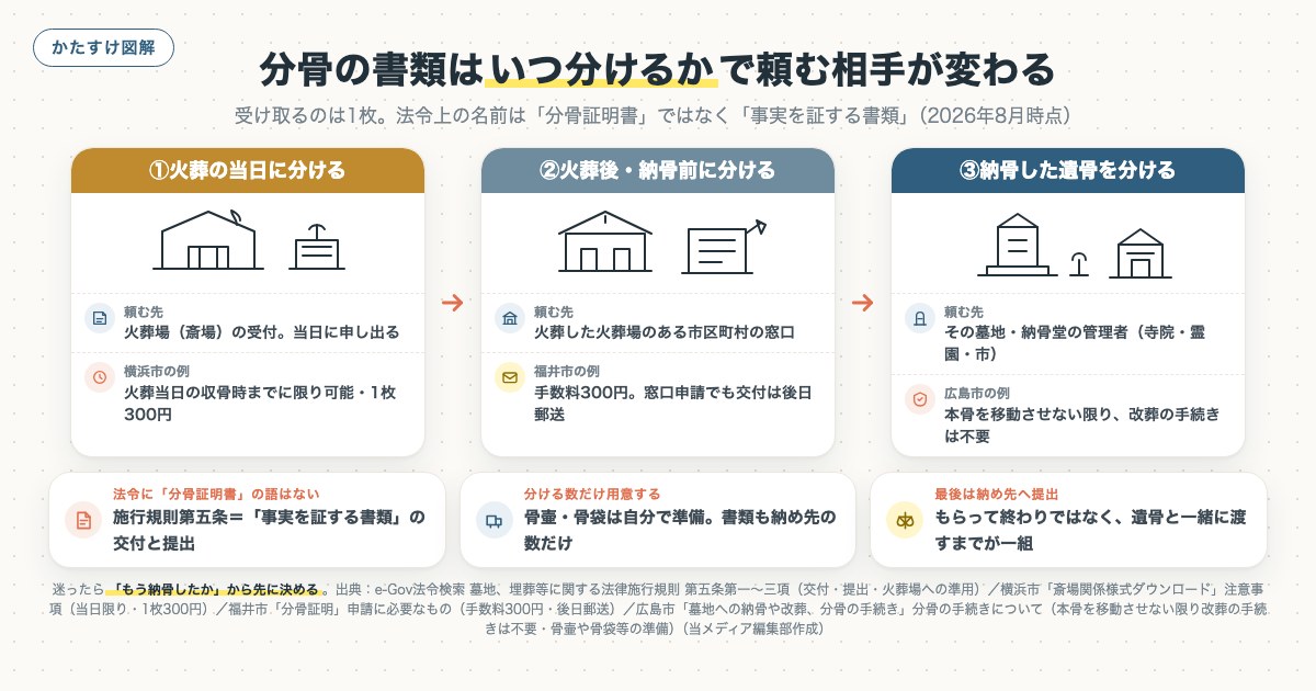分骨の書類はいつ分けるかで頼む相手が変わるの図解