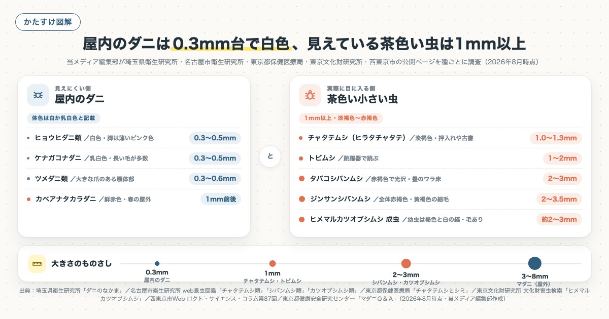 屋内のダニは0.3mm台で白色、見えている茶色い虫は1mm以上の図解