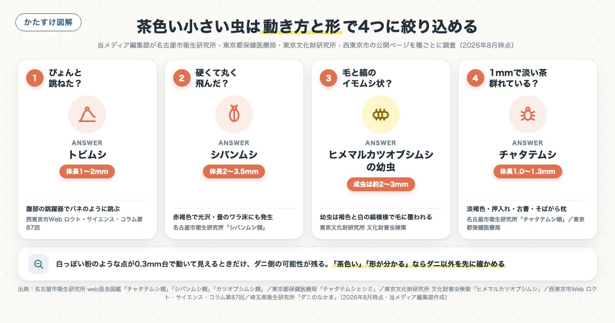 茶色い小さい虫は動き方と形で4つに絞り込めるの図解
