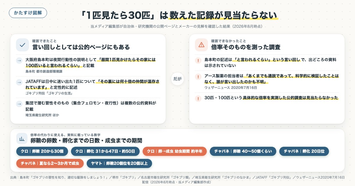 「1匹見たら30匹」は数えた記録が見当たらないの図解