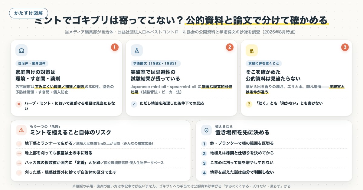 ミントでゴキブリは寄ってこない?公的資料と論文で分けて確かめるの図解