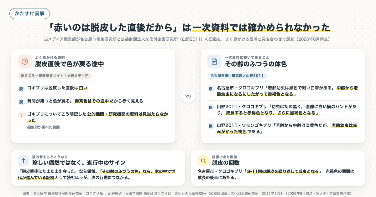 「赤いのは脱皮した直後だから」は一次資料では確かめられなかったの図解