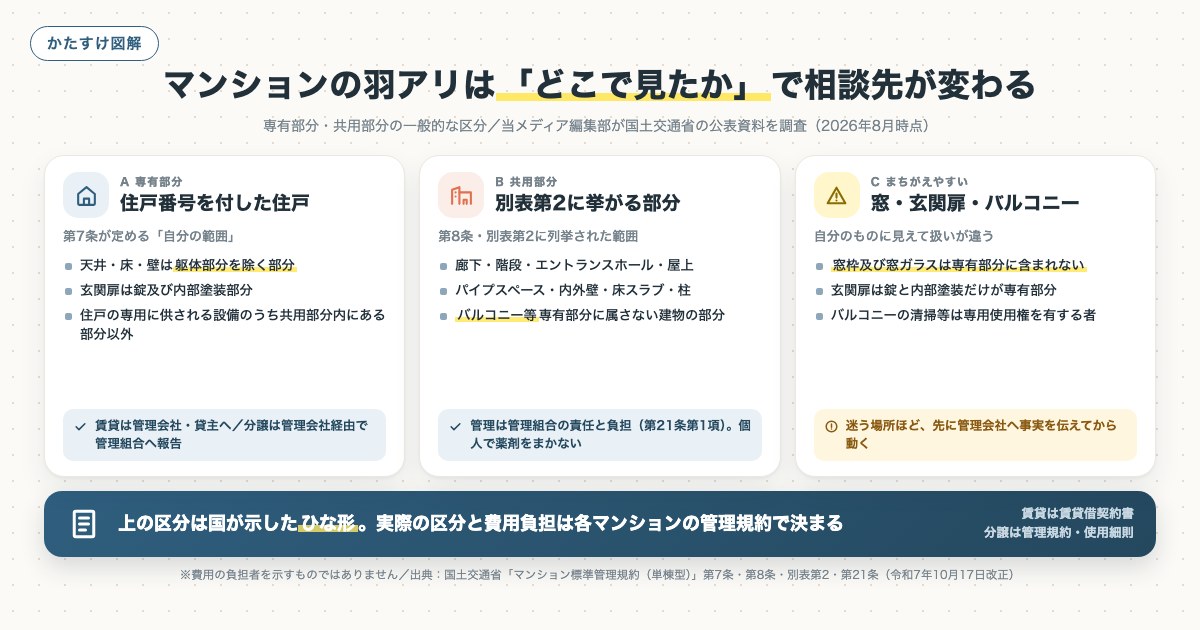 マンションの羽アリは「どこで見たか」で相談先が変わるの図解