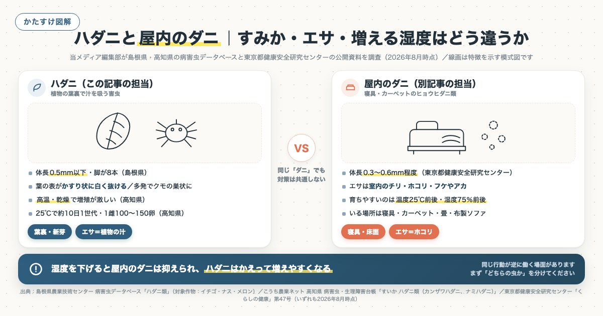 ハダニと屋内のダニ|すみか・エサ・増える湿度はどう違うかの図解