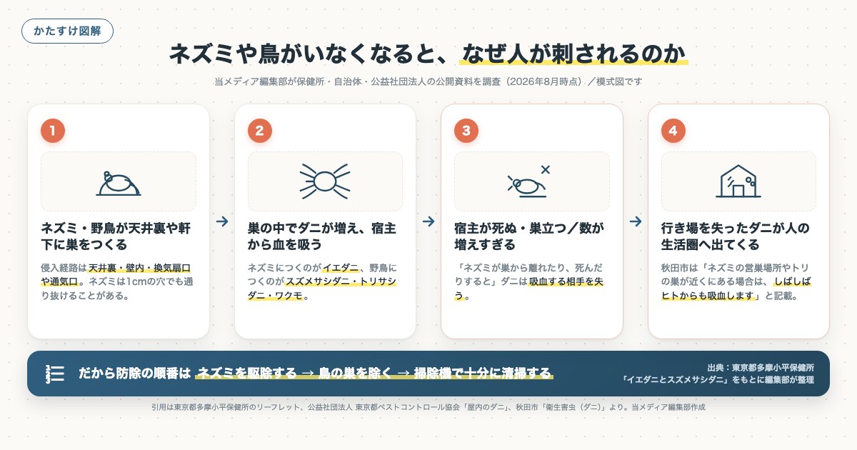 ネズミや鳥がいなくなると、なぜ人が刺されるのかの図解