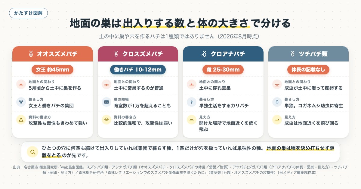 地面の巣は出入りする数と体の大きさで分けるの図解