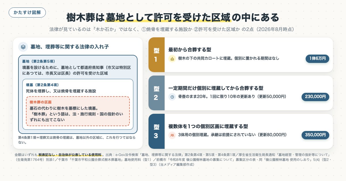 樹木葬は墓地として許可を受けた区域の中にあるの図解