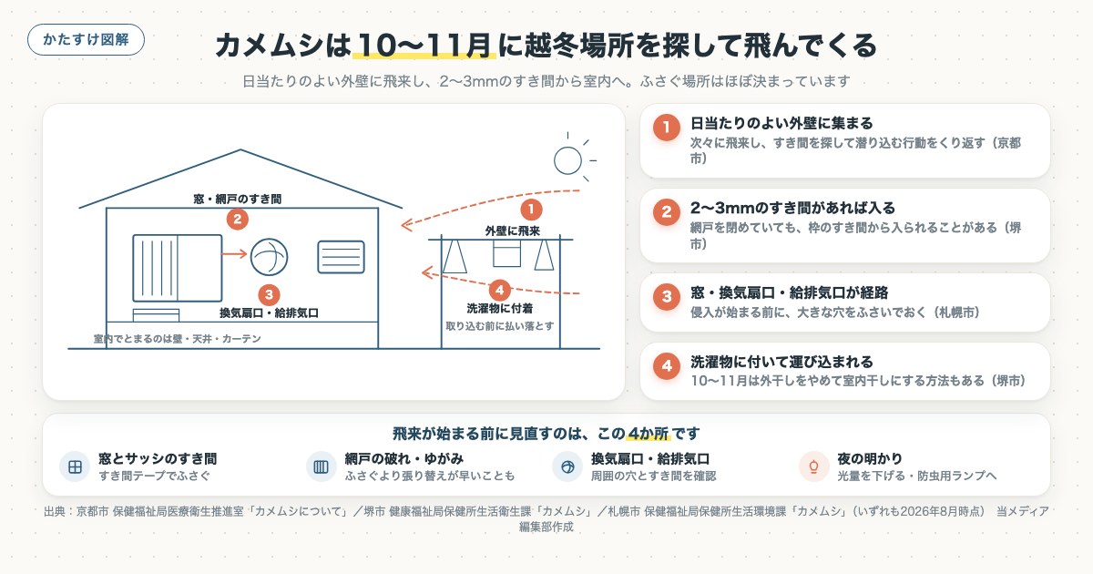 図解