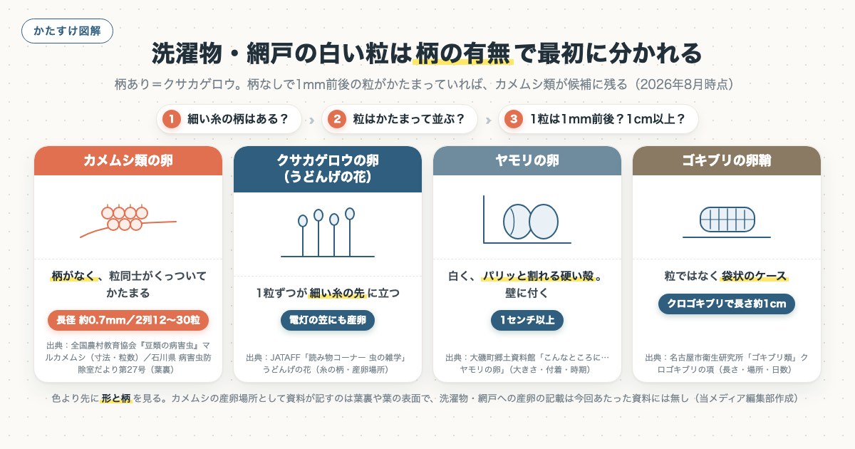 洗濯物・網戸の白い粒は柄の有無で最初に分かれるの図解