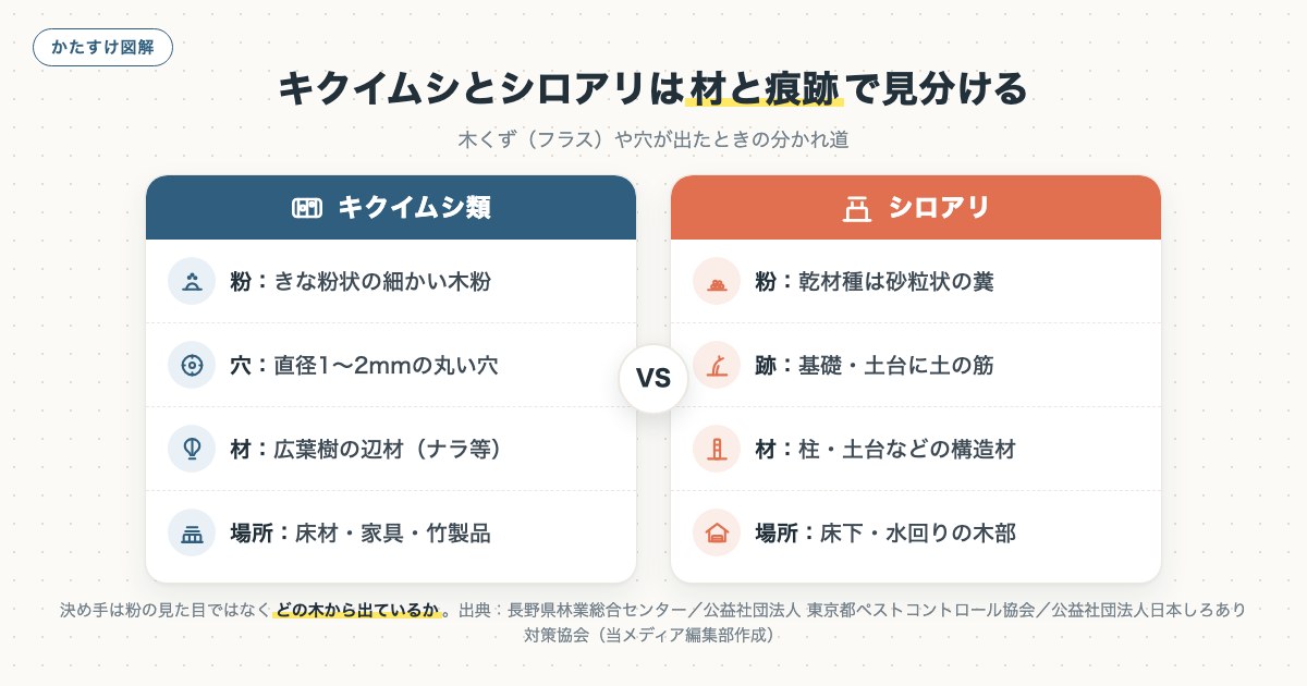 キクイムシとシロアリは材と痕跡で見分けるの図解