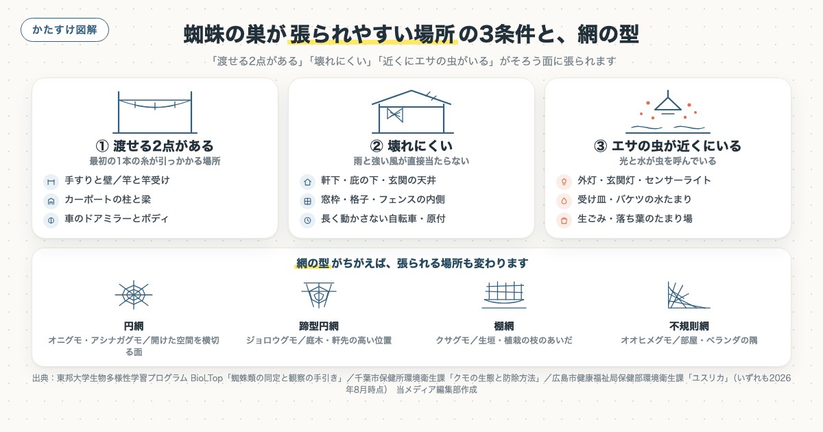図解