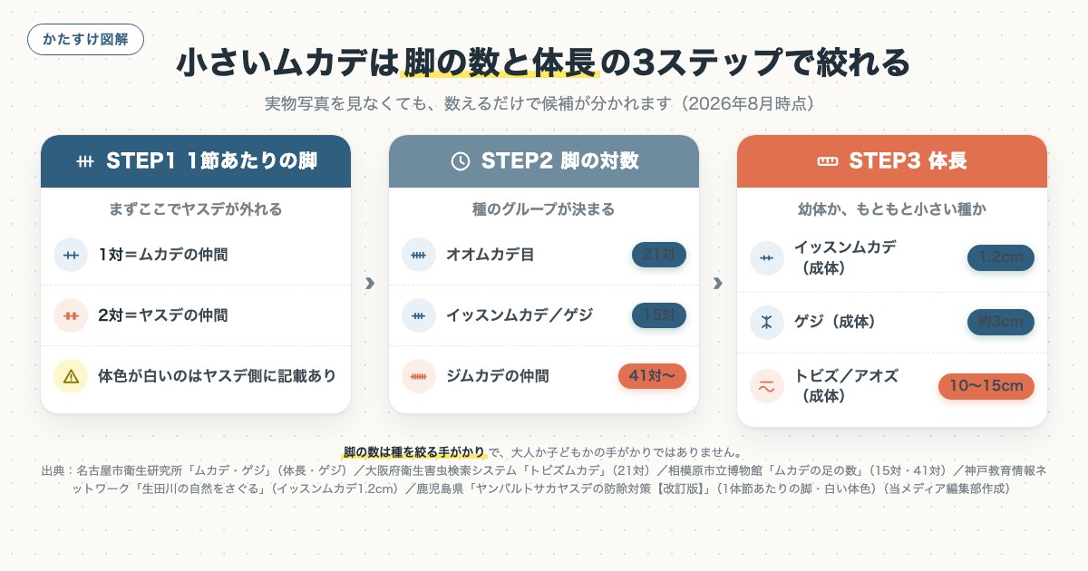 小さいムカデは脚の数と体長の3ステップで絞れるの図解
