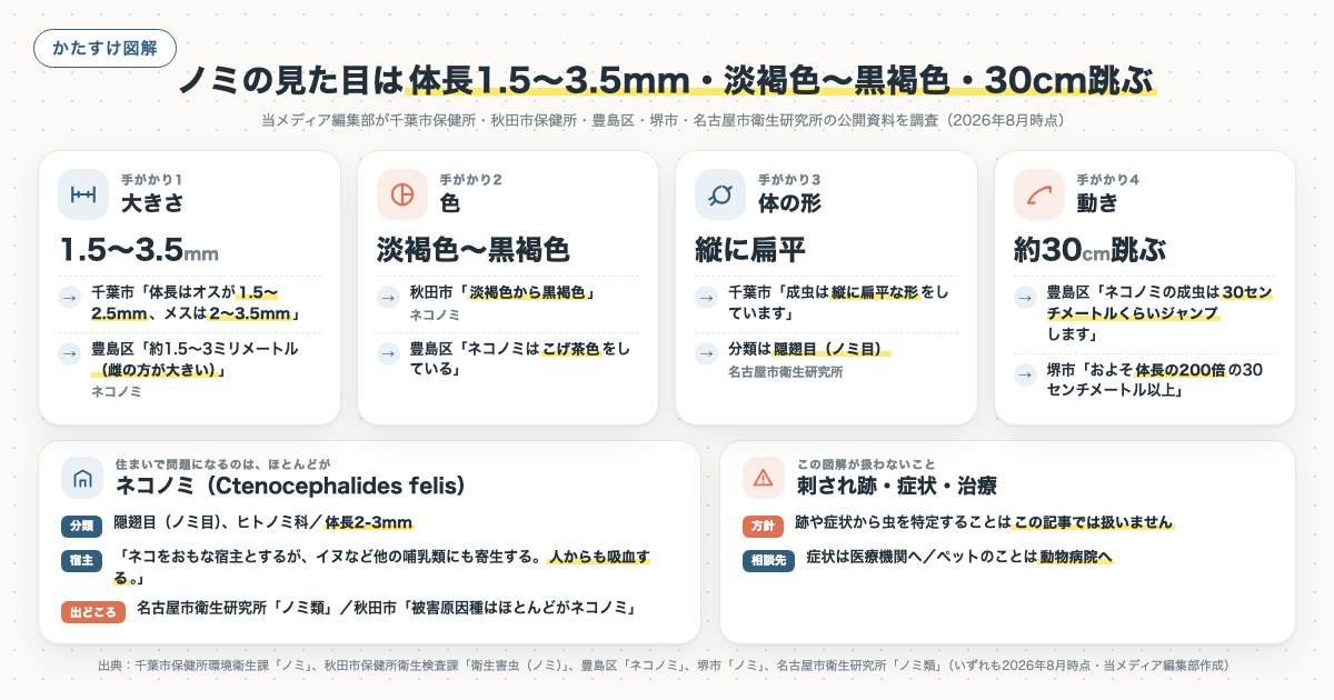 ノミの見た目は体長1.5〜3.5mm・淡褐色〜黒褐色・30cm跳ぶの図解