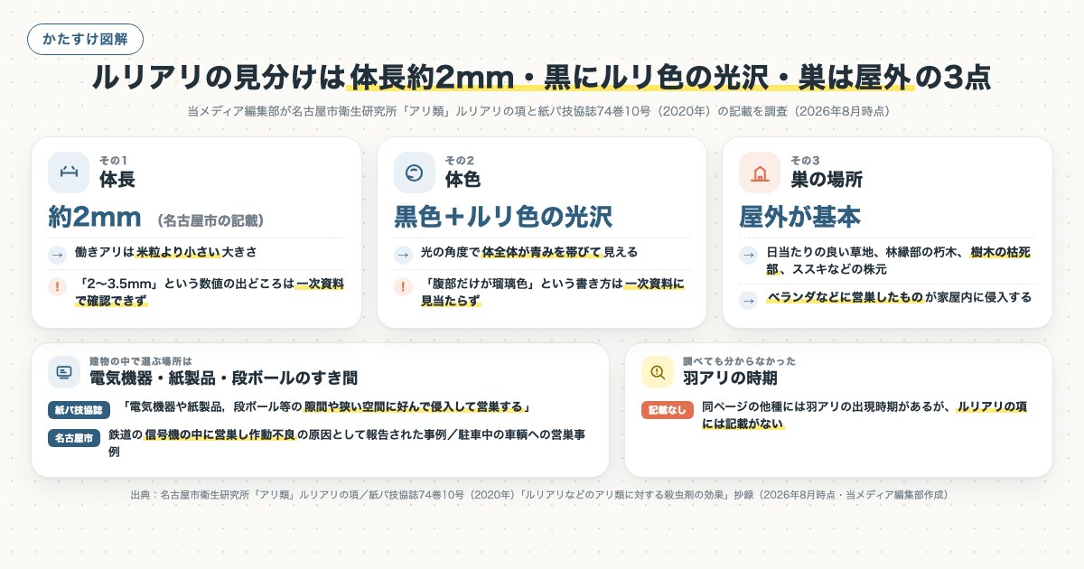 ルリアリの見分けは体長約2mm・黒にルリ色の光沢・巣は屋外の3点の図解
