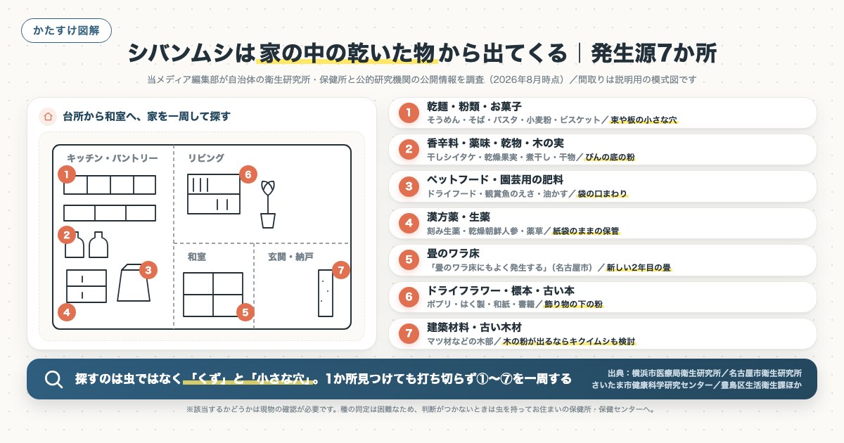 シバンムシは家の中の乾いた物から出てくる｜発生源7か所の図解