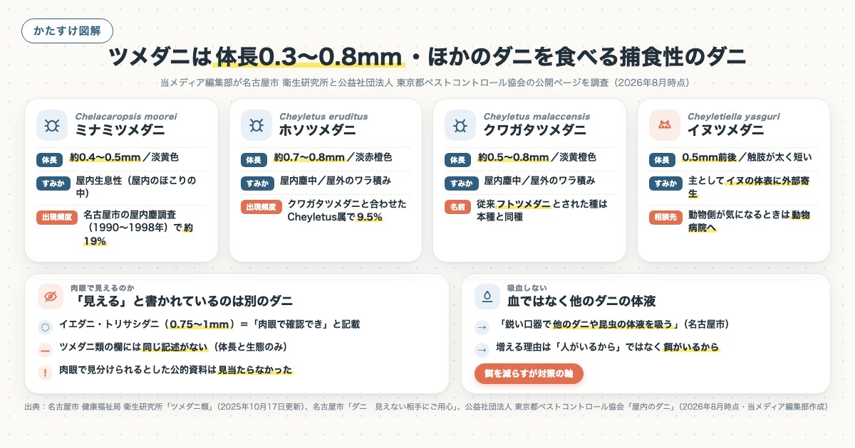 ツメダニは体長0.3〜0.8mm・ほかのダニを食べる捕食性のダニの図解