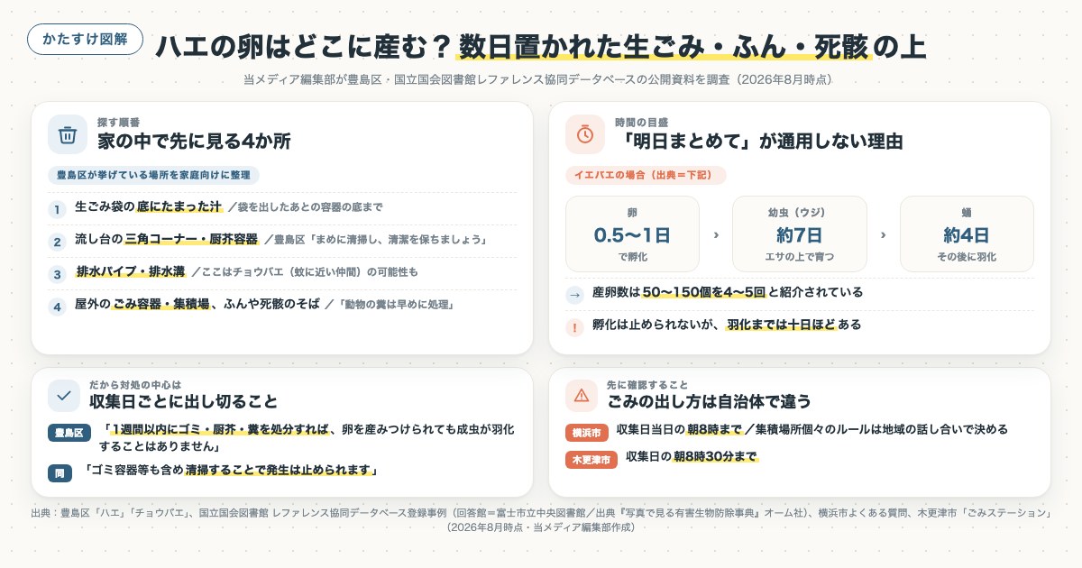 ハエの卵はどこに産む？数日置かれた生ごみ・ふん・死骸の上の図解