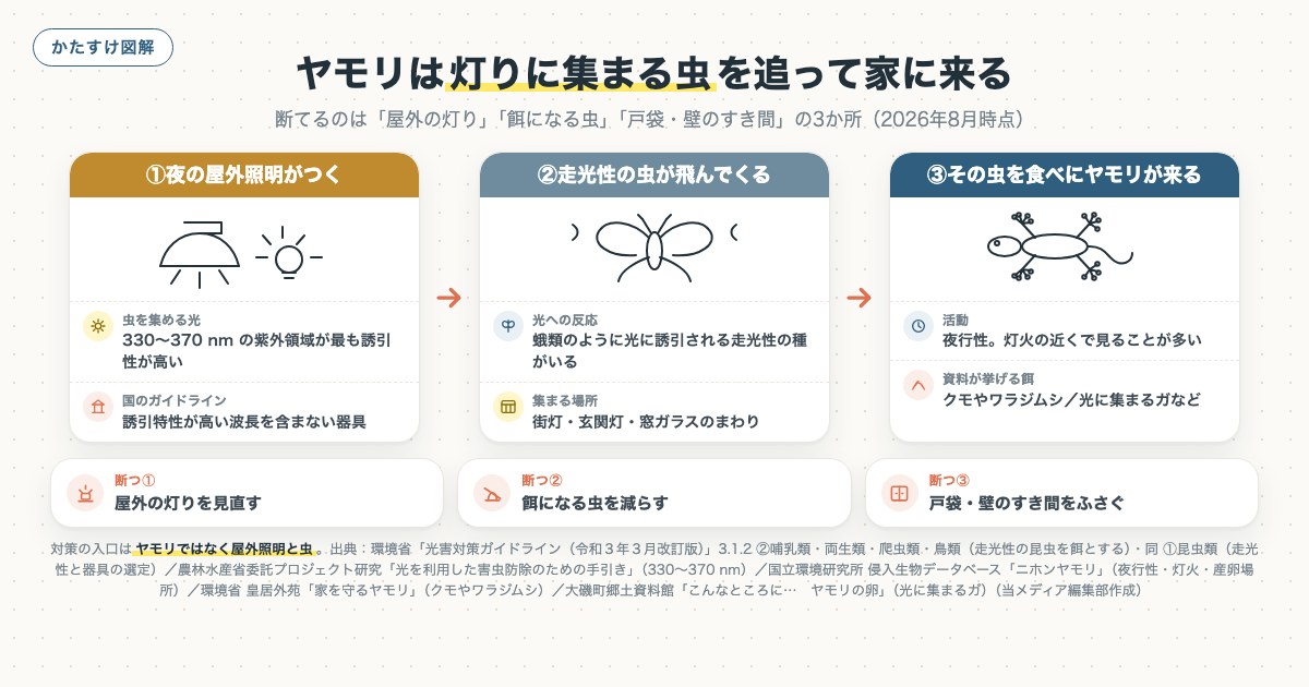 ヤモリは灯りに集まる虫を追って家に来るの図解