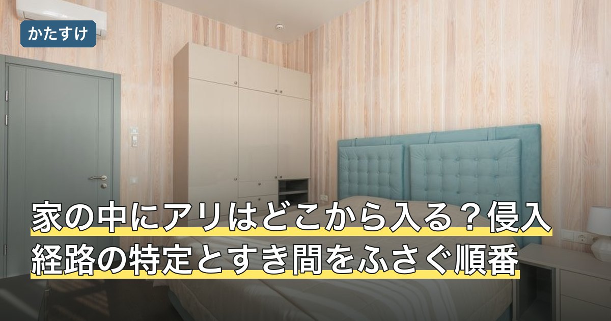 家の中にアリはどこから入る？侵入経路の特定とすき間をふさぐ順番