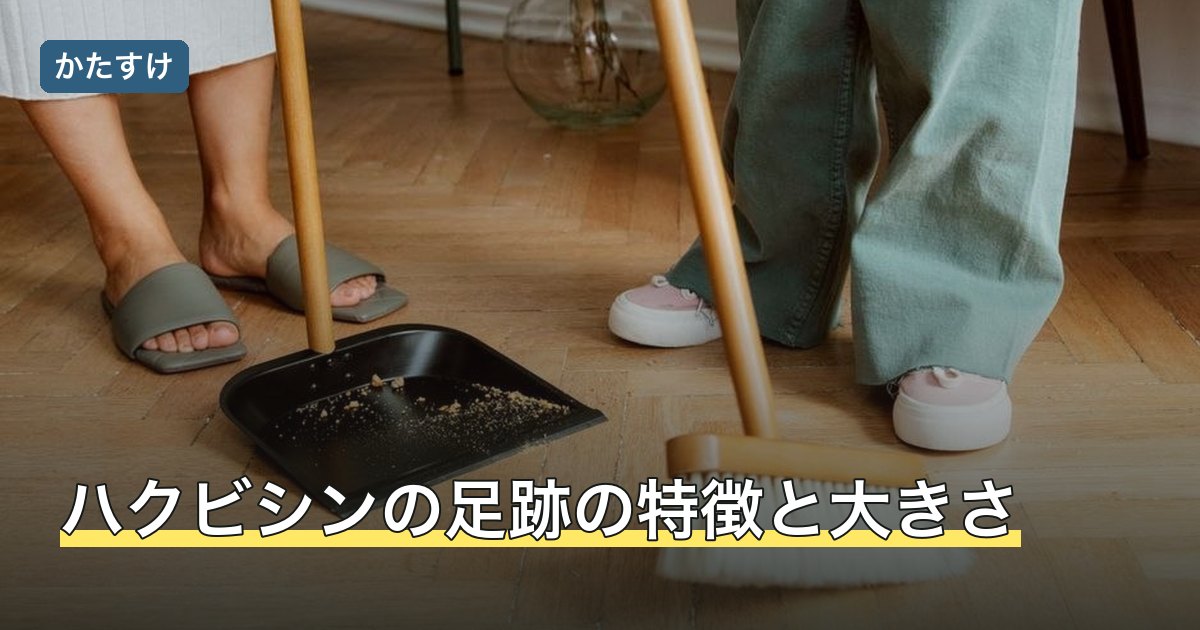 ハクビシンの足跡の特徴と大きさ
