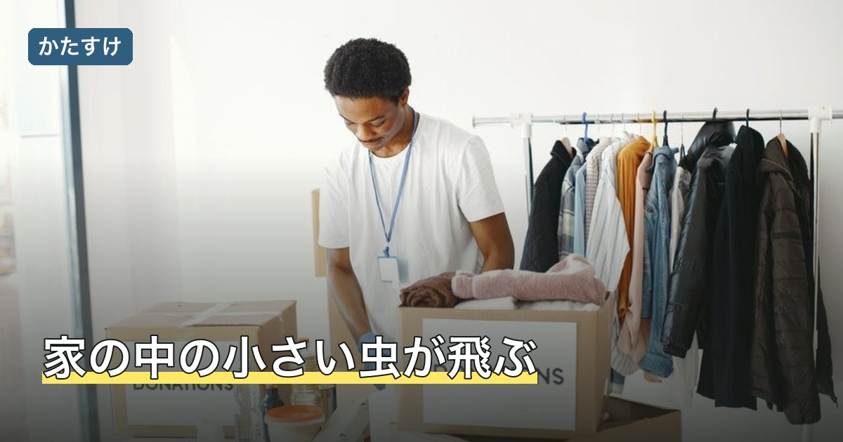 家の中の小さい虫が飛ぶ