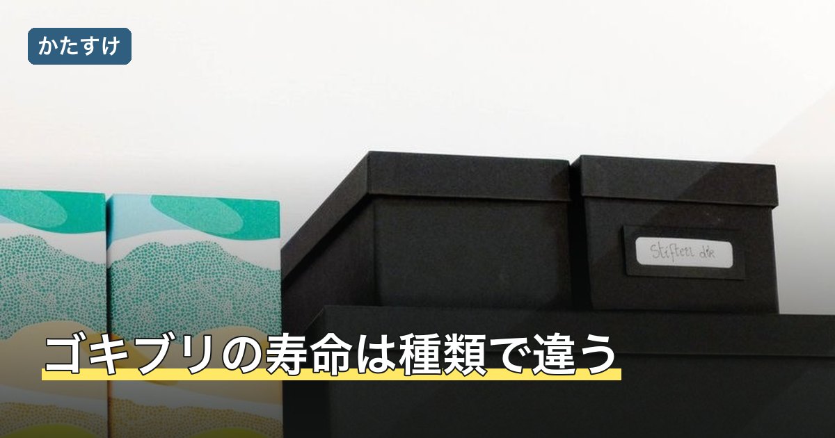 ゴキブリの寿命は種類で違う