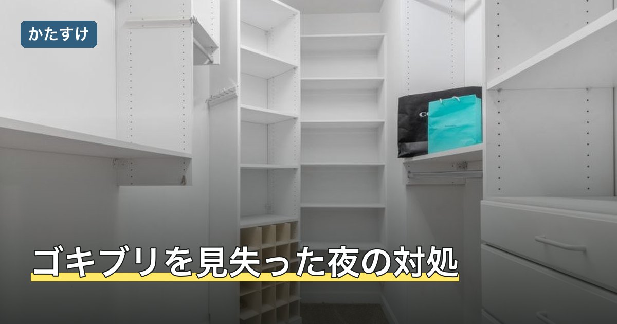 ゴキブリを見失った夜の対処
