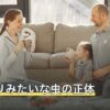 ゴキブリみたいな虫の正体