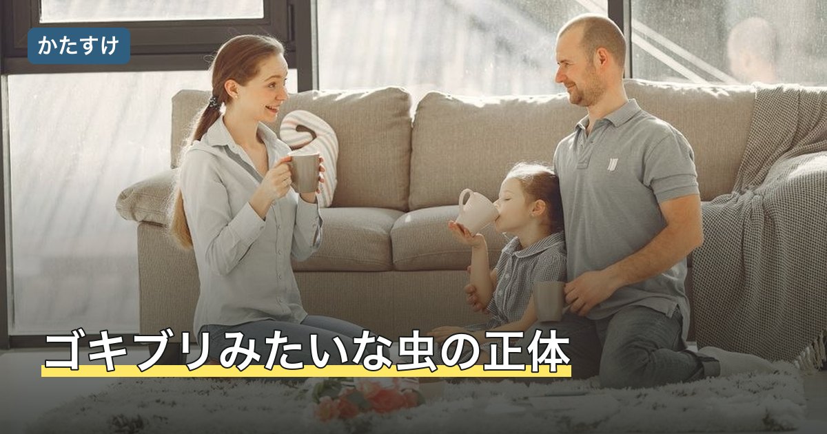 ゴキブリみたいな虫の正体
