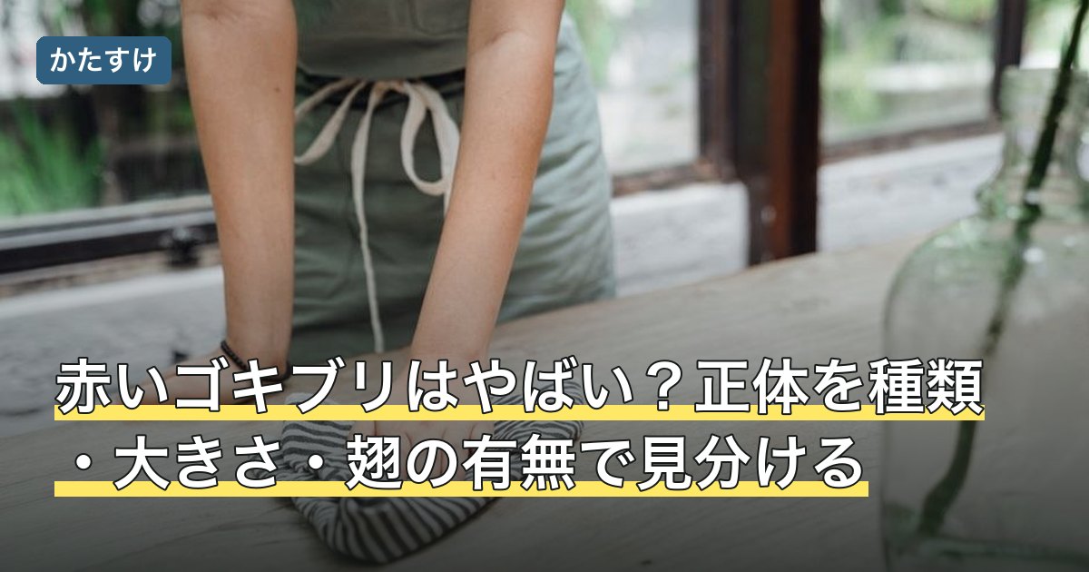赤いゴキブリはやばい？正体を種類・大きさ・翅の有無で見分ける