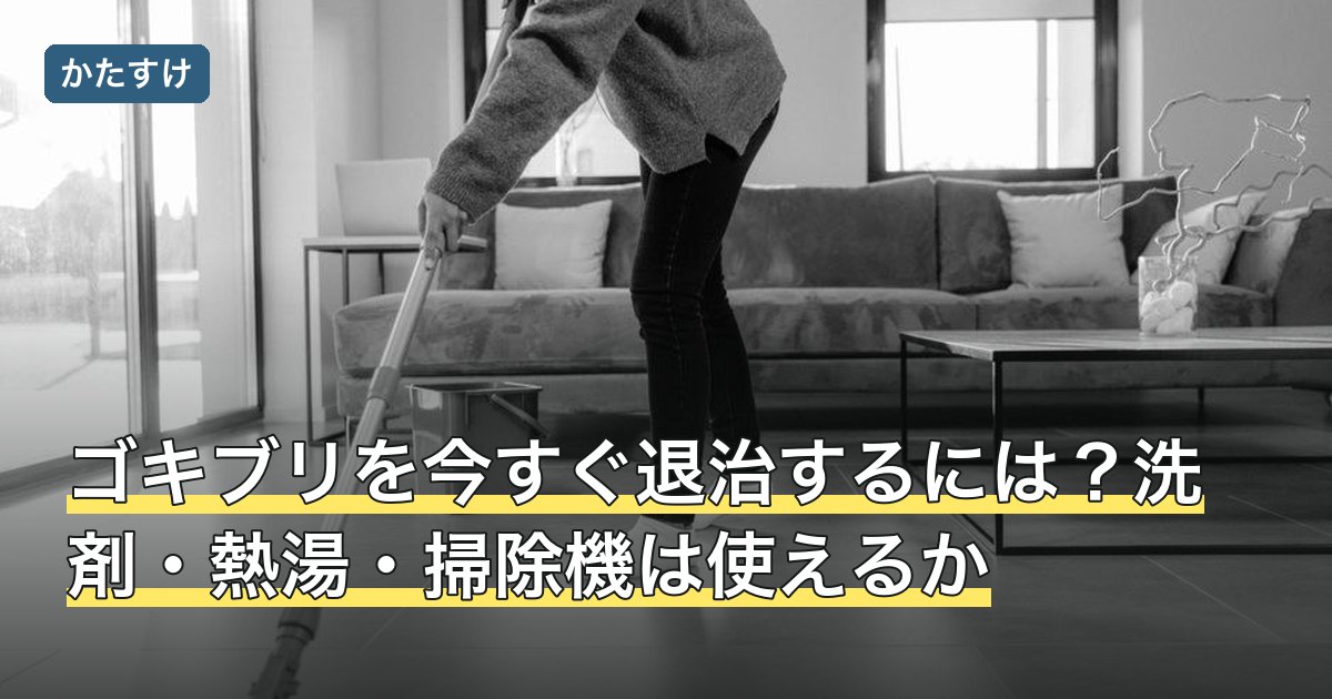 ゴキブリを今すぐ退治するには？洗剤・熱湯・掃除機は使えるか