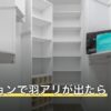 マンションで羽アリが出たら