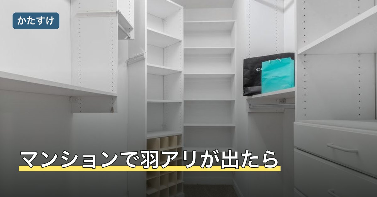 マンションで羽アリが出たら