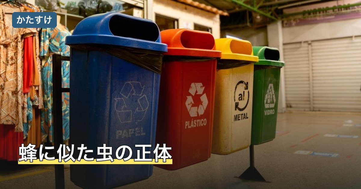 蜂に似た虫の正体