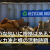 蜂が嫌いな匂いに根拠はある？木酢液・ハッカ油と蜂の活動時期