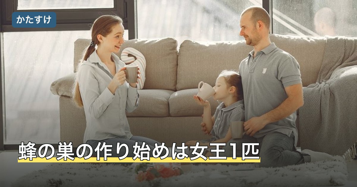 蜂の巣の作り始めは女王1匹