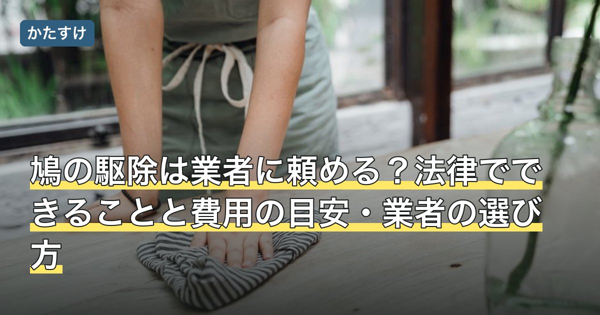 鳩の駆除は業者に頼める？法律でできることと費用の目安・業者の選び方