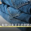 イエダニ駆除はネズミの対処が先