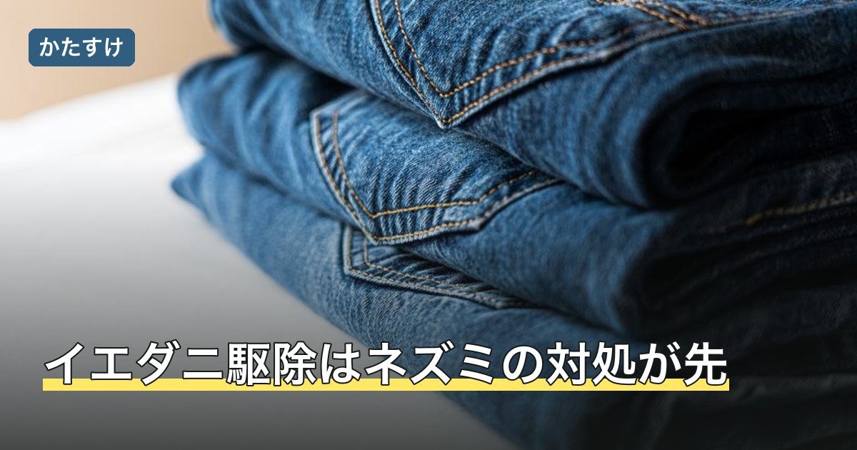 イエダニ駆除はネズミの対処が先