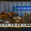 イラガ駆除は繭を探す場所で変わる