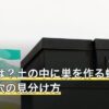 地蜂とは？土の中に巣を作る蜂の種類と巣穴の見分け方