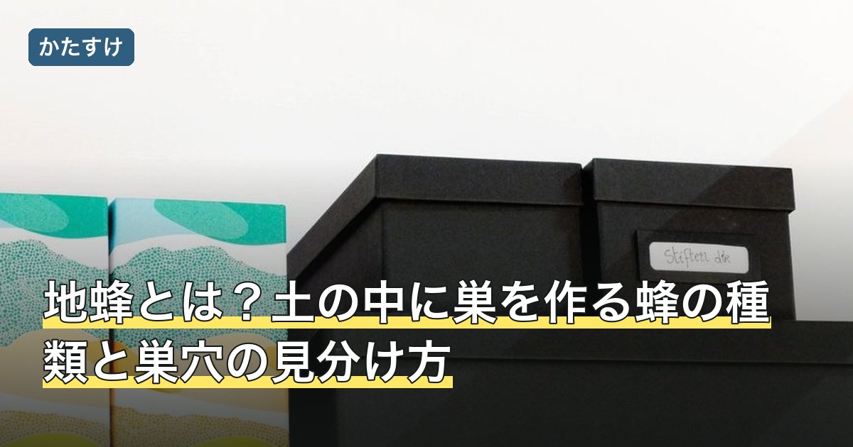 地蜂とは？土の中に巣を作る蜂の種類と巣穴の見分け方