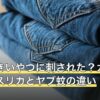 蚊の大きいやつに刺された？ガガンボ・ユスリカとヤブ蚊の違い