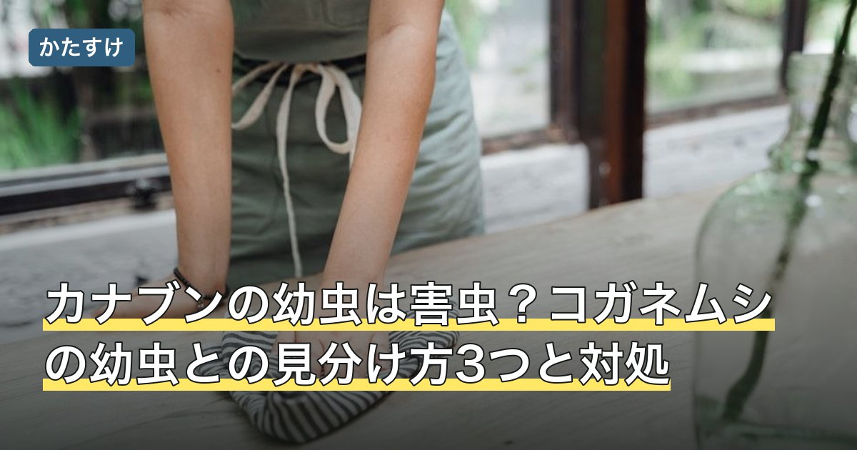 カナブンの幼虫は害虫？コガネムシの幼虫との見分け方3つと対処