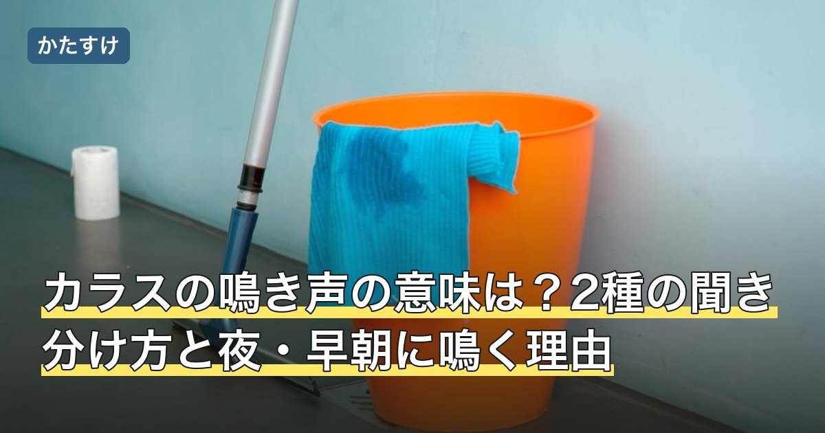 カラスの鳴き声の意味は？2種の聞き分け方と夜・早朝に鳴く理由