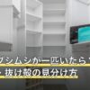 カツオブシムシが一匹いたら？成虫・幼虫・抜け殻の見分け方